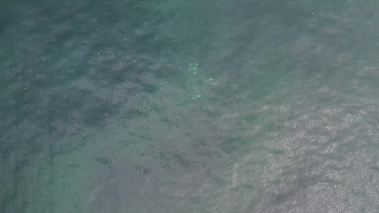 Blue ocean water with pale glare across low waves.