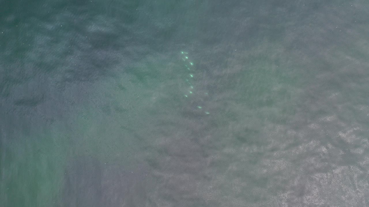 Overhead view of gray-green water in Los Cabos, Mexico, with a small turquoise glow under the rippled surface and no visible people.