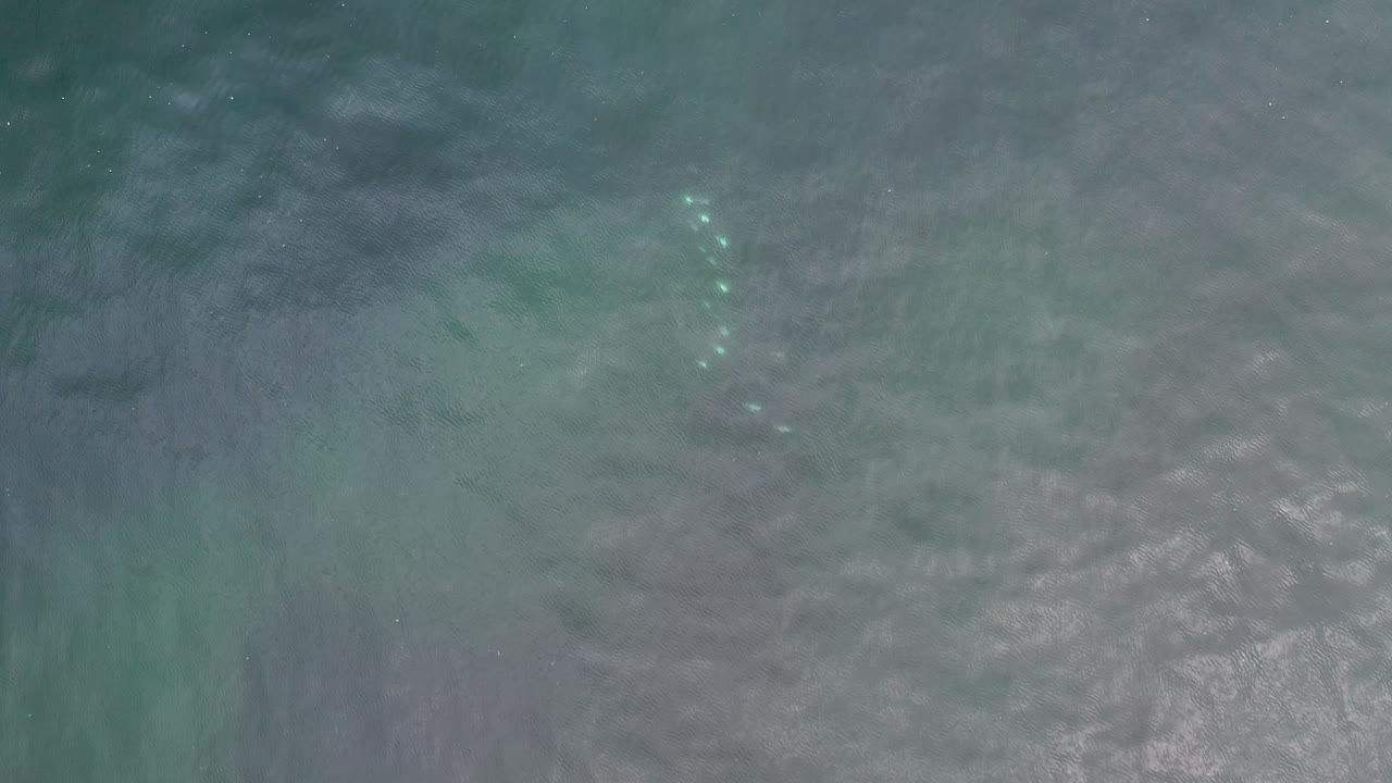 Gray ocean water fills the frame in Los Cabos, Mexico, with several faint green-blue points showing through surface ripples and no visible people.