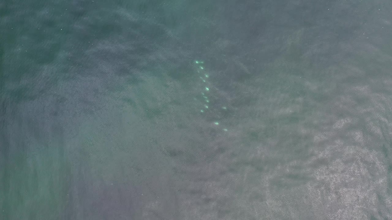 Overhead water texture with a vertical cluster of green light