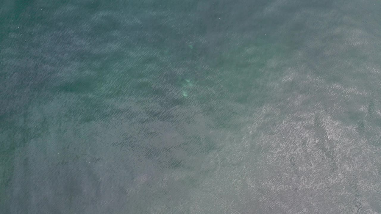 Overhead teal ocean water with soft wave texture.