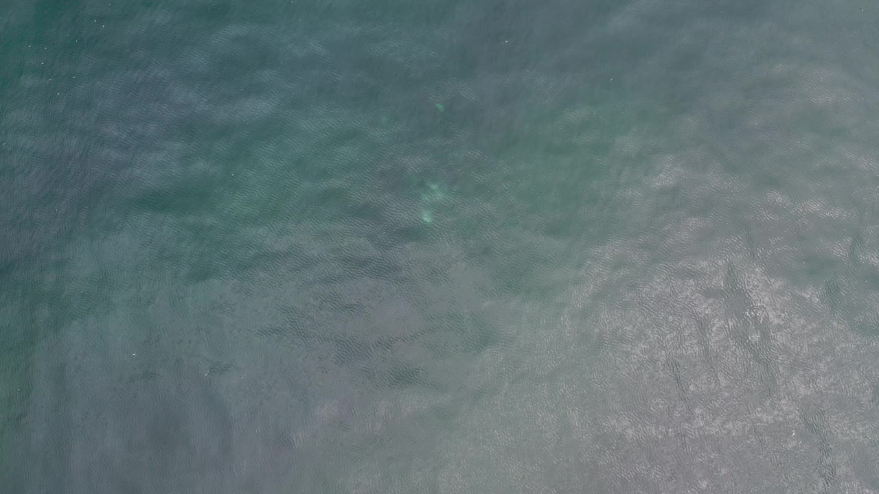 A later overhead frame shows green-blue Los Cabos water with a pale reflective patch under the surface and no visible people.