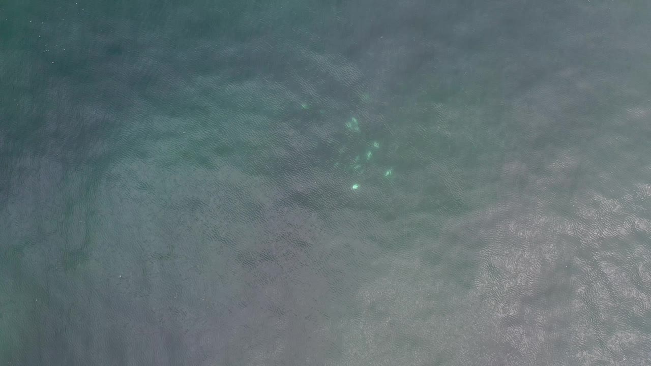 At one second, the Los Cabos ocean surface appears slightly darker, with the fish group still visible as bright specks under rippled blue green water, no visible people.