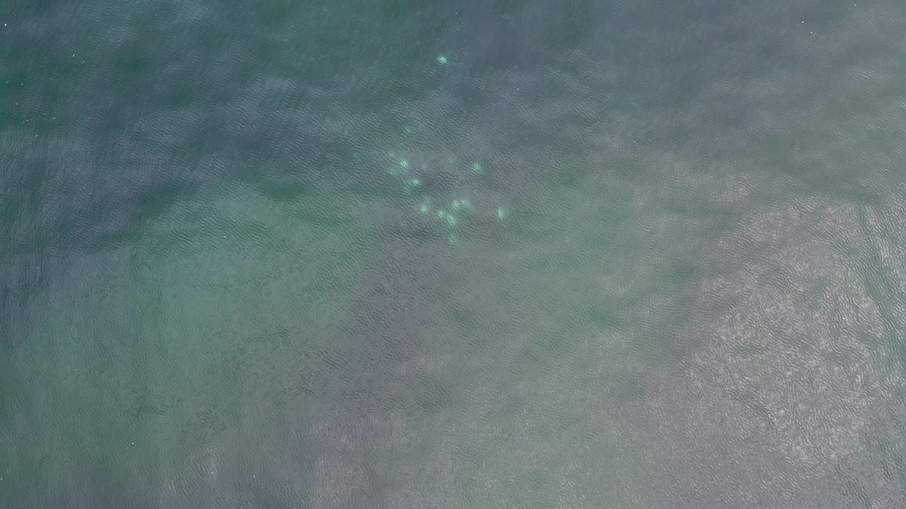 Overhead view of dark gray-green water in Los Cabos, Mexico, with faint ripples, pale shimmer near the lower right, and no visible people.