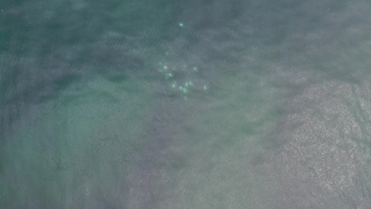 Overhead Los Cabos water surface with gray-green ripples, a broad pale reflective patch along the lower right, and no visible people.