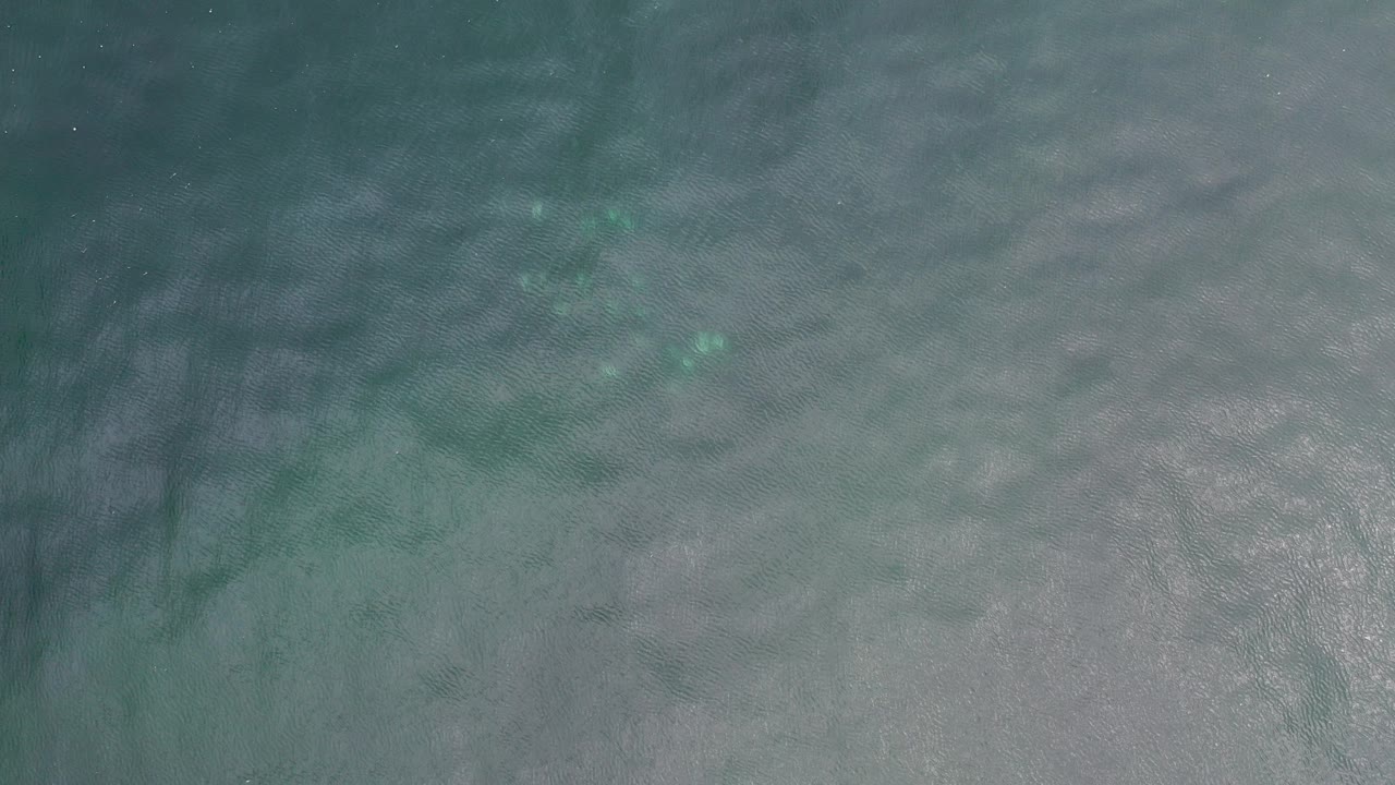 Overhead view of blue-green rippled water in Los Cabos, Mexico, with pale sandy color beneath the surface and no visible people.