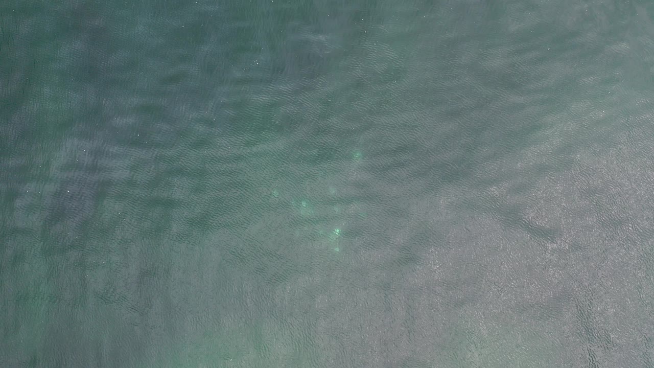 Top-down view of teal ocean water in Los Cabos, Mexico, with muted gray ripples and no visible people.