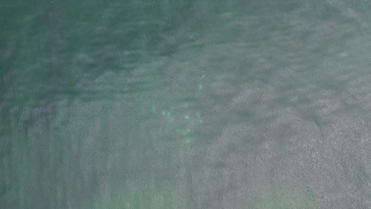 Gray-green sea surface seen from above