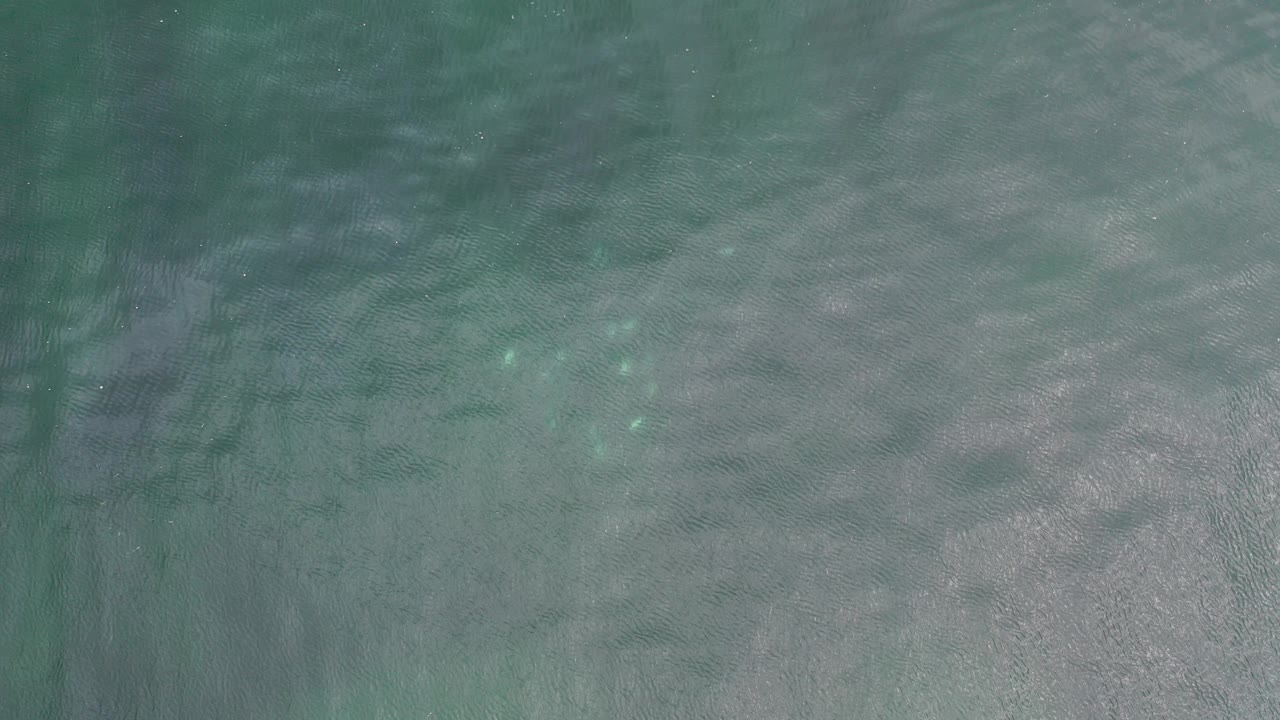 Overhead view of green ocean water in Los Cabos, Mexico, with pale surface shimmer, faint sandy tones below, dark underwater streaks near center, and no visible people.