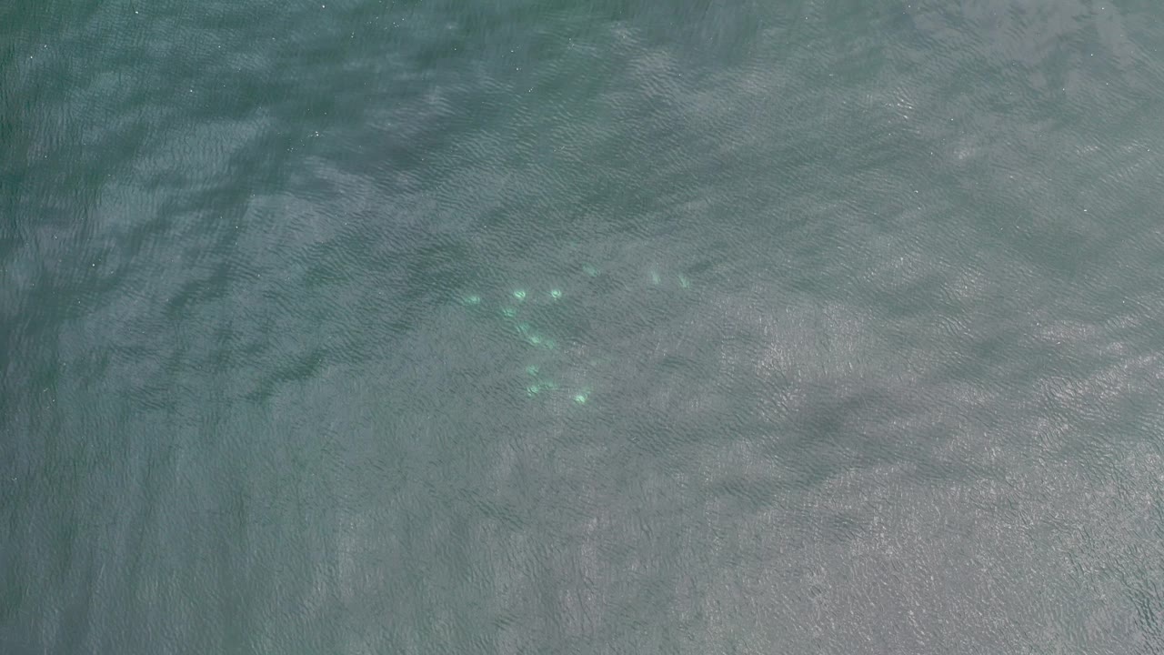 Overhead view of teal water in Los Cabos with soft ripples, silvery surface light, a small cluster of pale spots left of center, and no visible people.