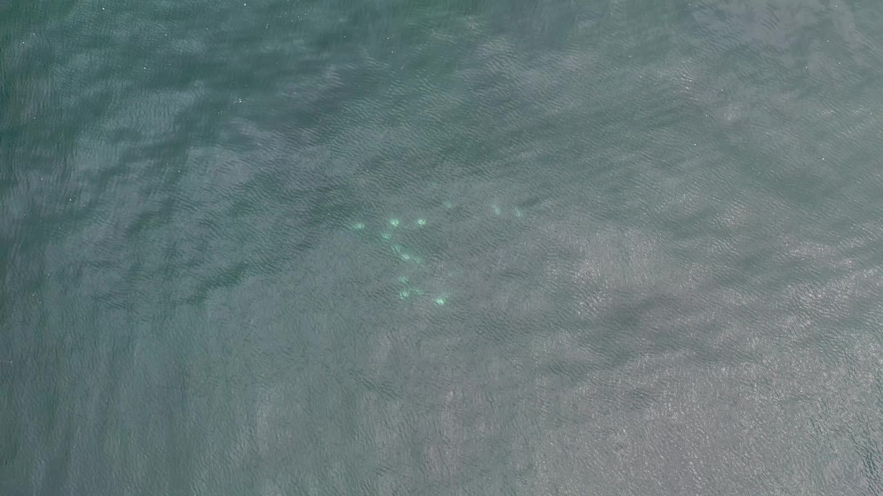 Overhead Los Cabos water frame with darker ripple bands, a loose group of bright aqua spots near the upper left center, and no visible people.