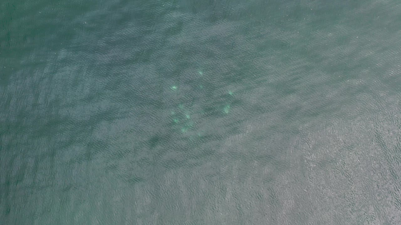 Overhead view of blue-green water in Los Cabos with faint bright submerged spots near the upper left area and no visible people.