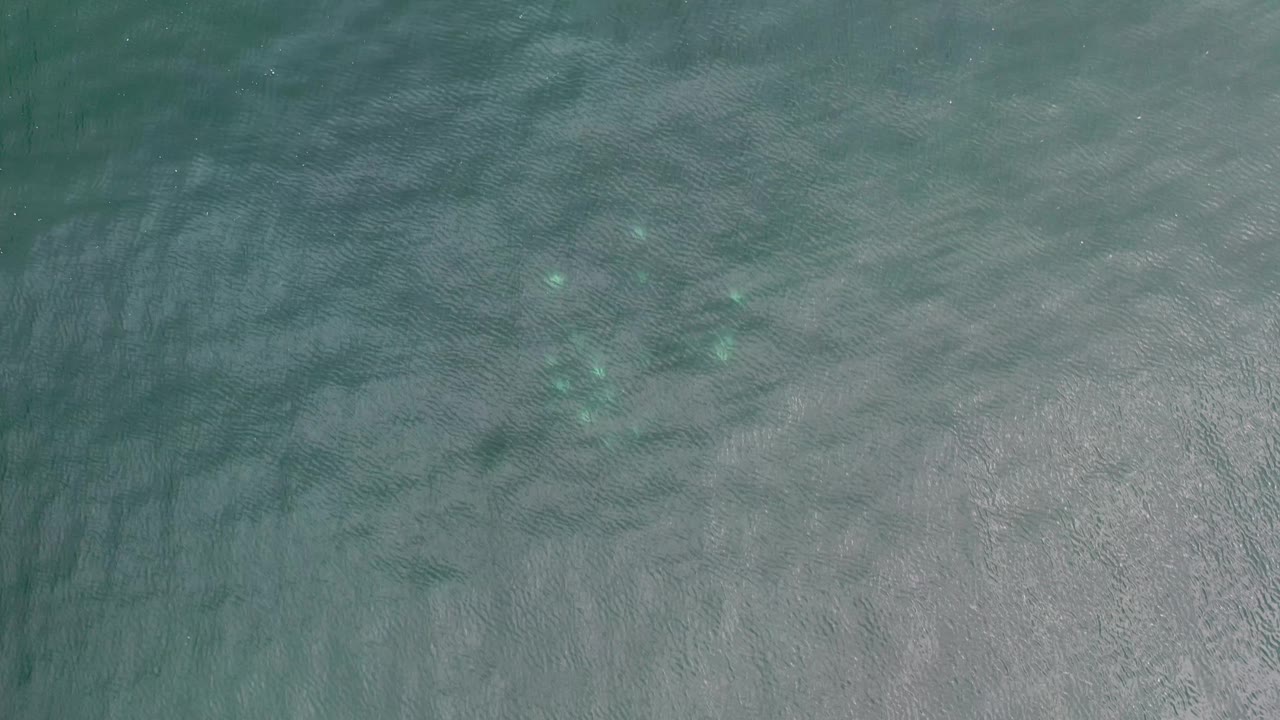Top-down Los Cabos water frame with soft ripples, pale reflected light, and small bright submerged shapes closer to the center, with no visible people.
