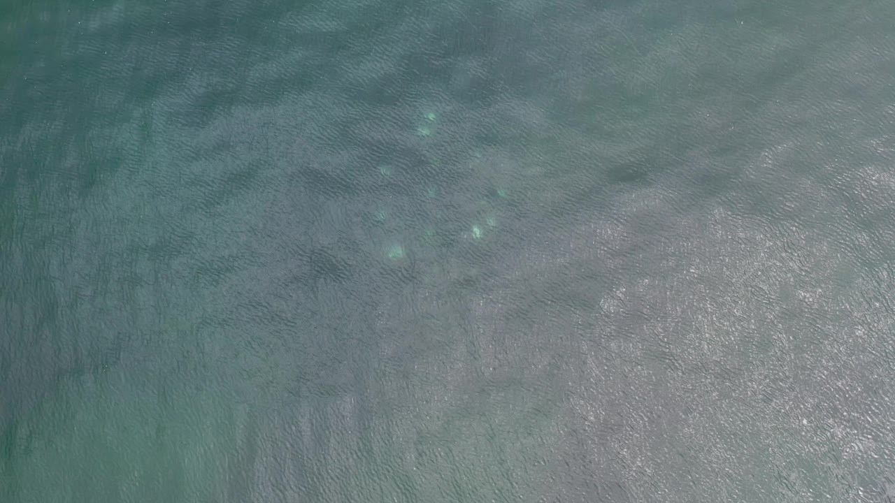 Green-blue water fills the frame in Los Cabos, Mexico, with faint ripples, cloudy pale areas, and no visible people.