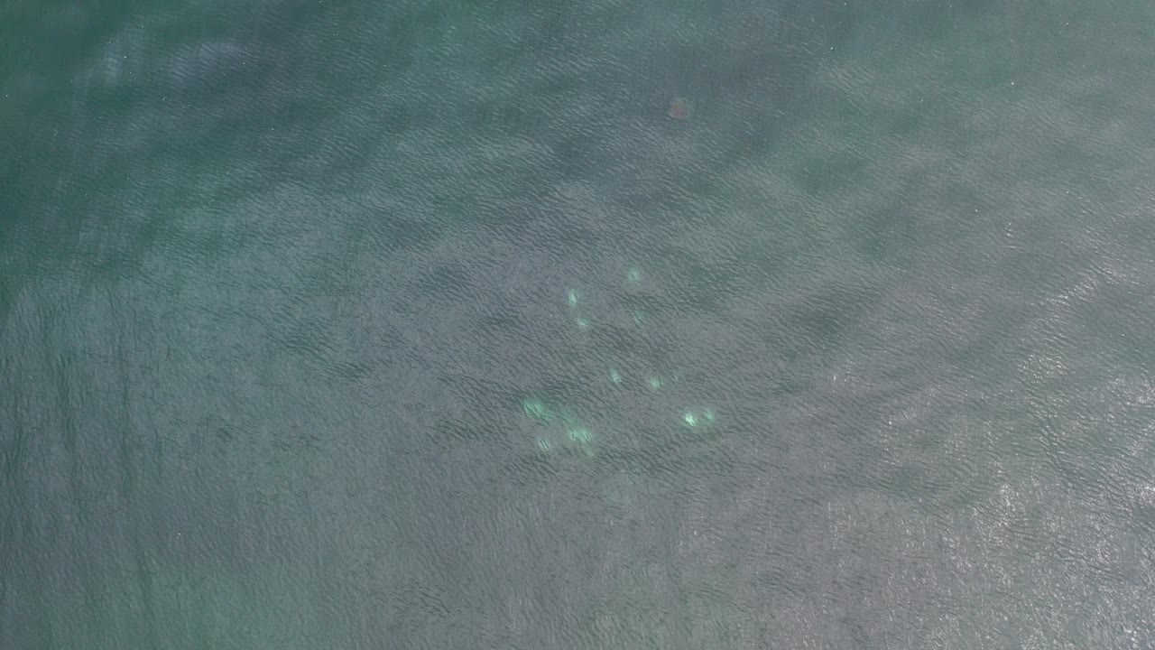 Overhead view of dark teal ocean water in Los Cabos, with scattered pale foam and no visible people.