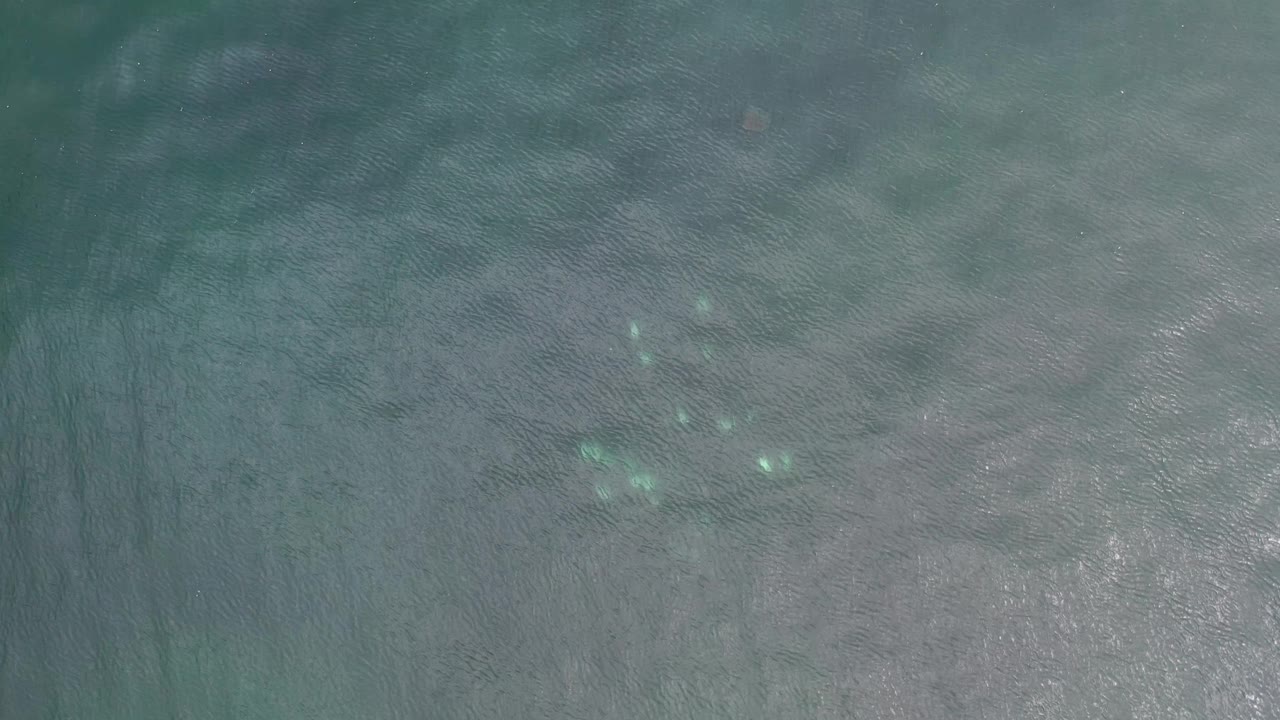 Overhead Los Cabos ocean frame with small bright foam marks near the center and no visible people.