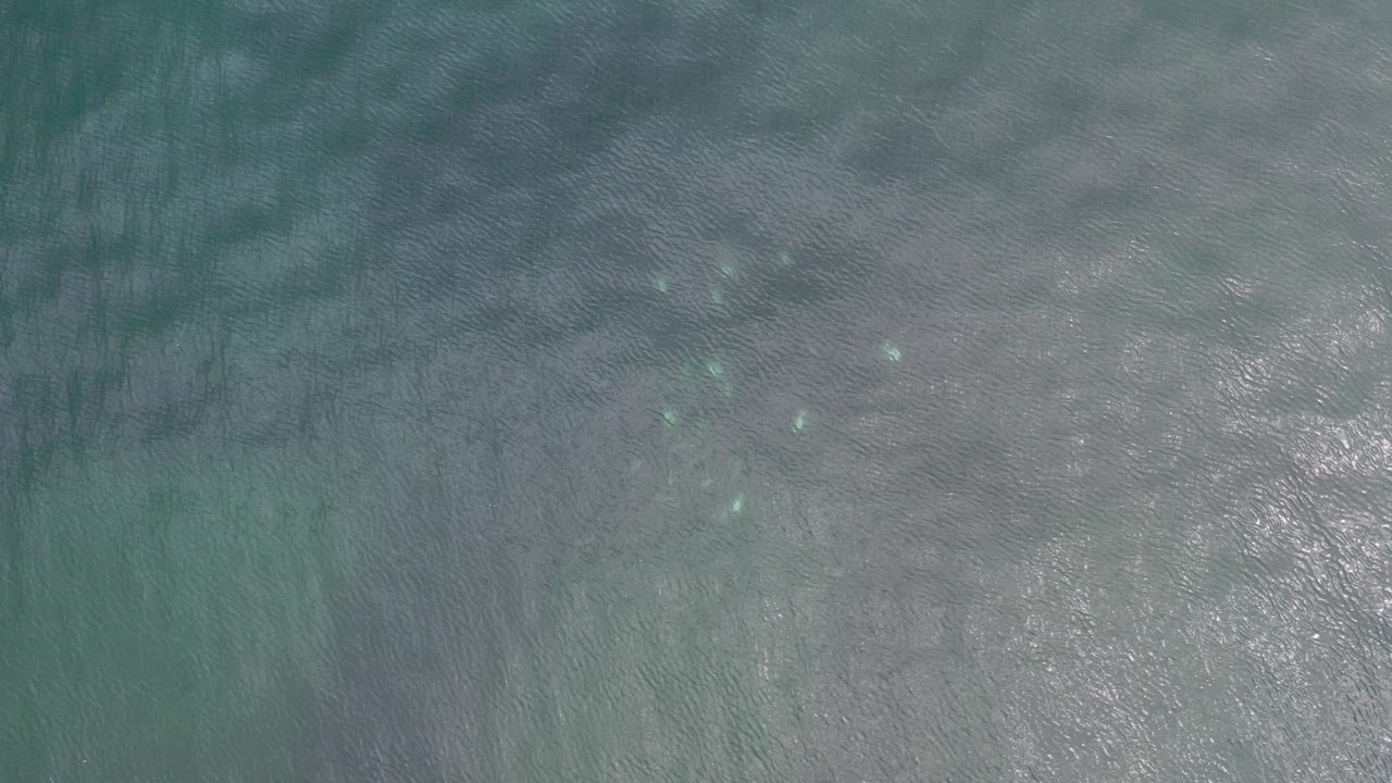 Top-down view of turquoise and gray-green Los Cabos coastal water with pale submerged texture, small bright specks, and no visible people.