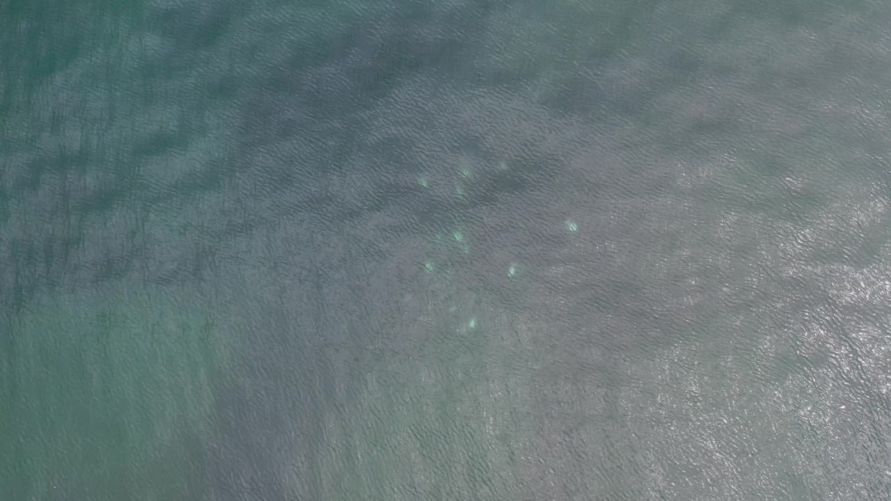 Overhead Los Cabos ocean water shows soft ripples, muted teal color, pale forms under the surface, scattered sun highlights, and no visible people.