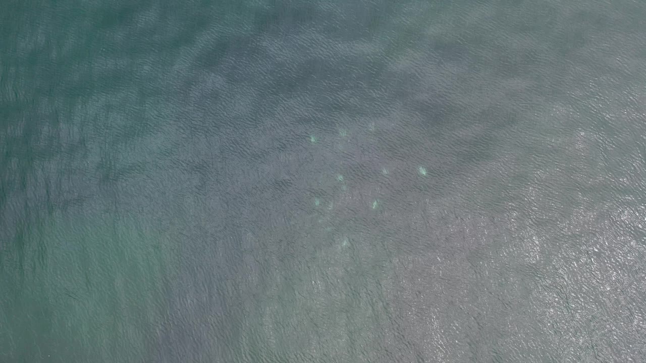 Aerial view of gray-green water and sun glints
