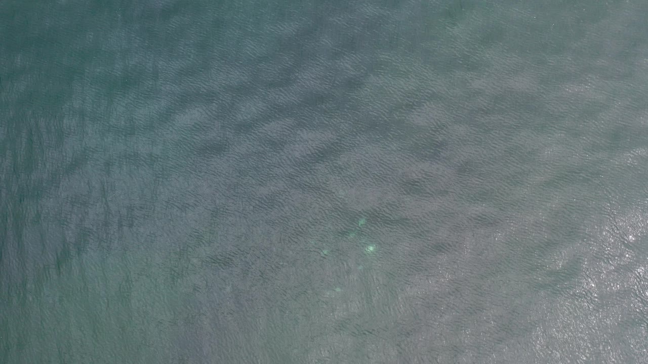 Opening overhead view of green-blue sea water in Los Cabos, Mexico, with fine ripples, muted sun glitter, faint darker streaks, and no visible people.