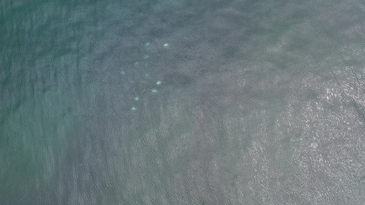 Overhead view of turquoise and gray-green ocean water in Los Cabos, Mexico, with rippled surface texture, bright sun glare at right, and no visible people.