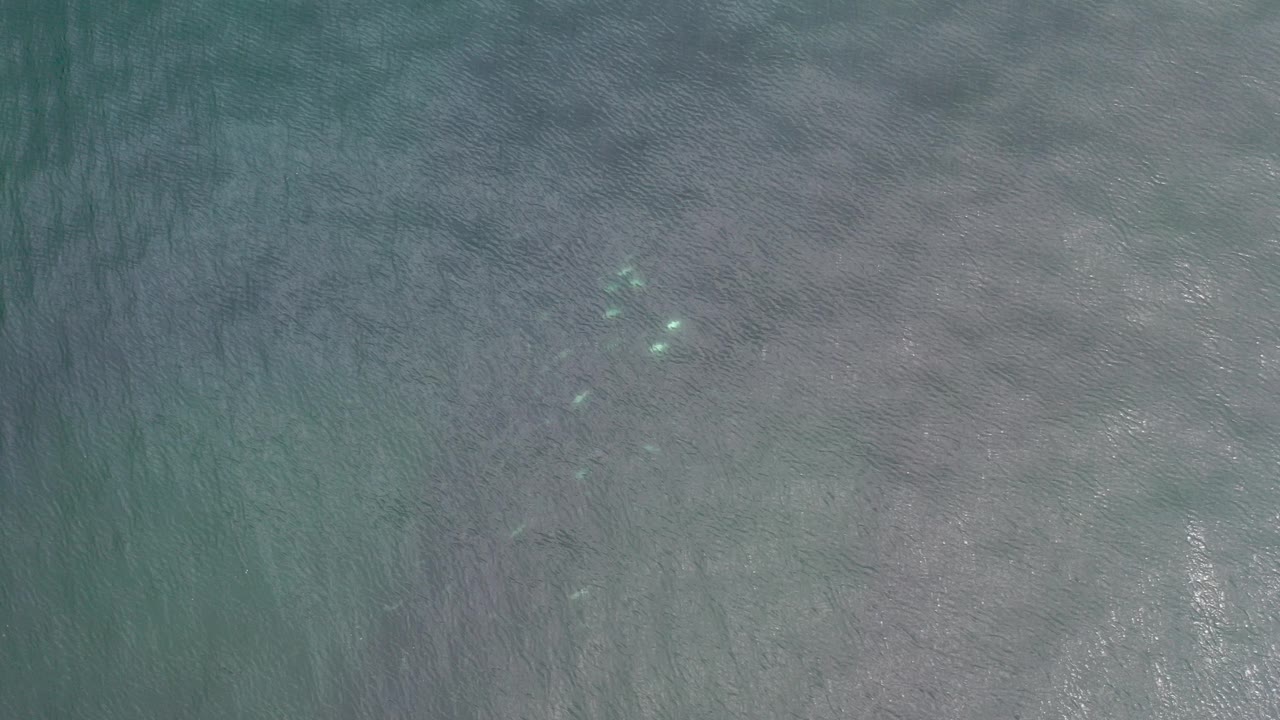 Overhead view of blue-green ocean water in Los Cabos, Mexico, with pale underwater texture and no visible people at the start of the clip.