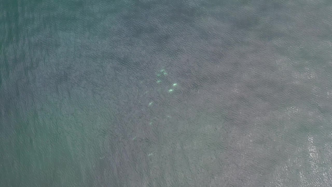 Top-down Los Cabos ocean surface with faint wave lines, soft pale patches under the water, and no visible people.