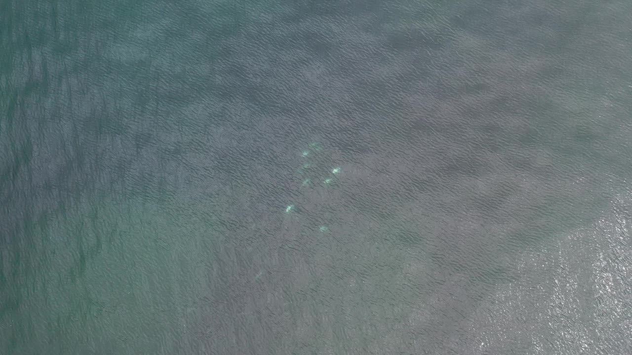 Aerial ocean water with small turquoise highlights near the upper left