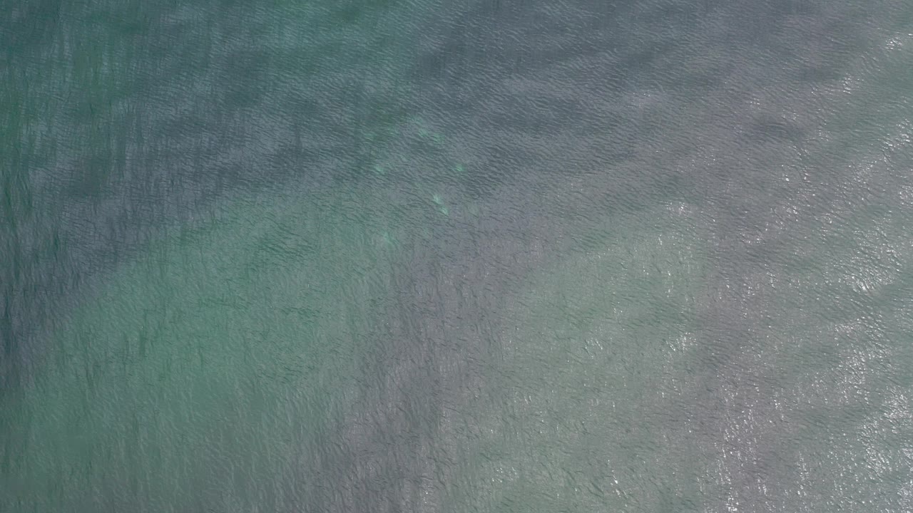 Overhead view of rippling aquamarine water in Los Cabos, Mexico, with faint darker fish shapes below the surface and no visible people.