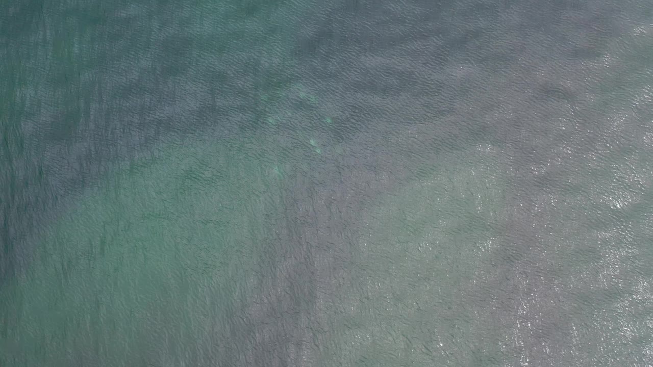 Blue-green rippling water in Los Cabos, Mexico, fills the frame with pale reflected highlights and barely visible fish movement beneath, with no visible people.