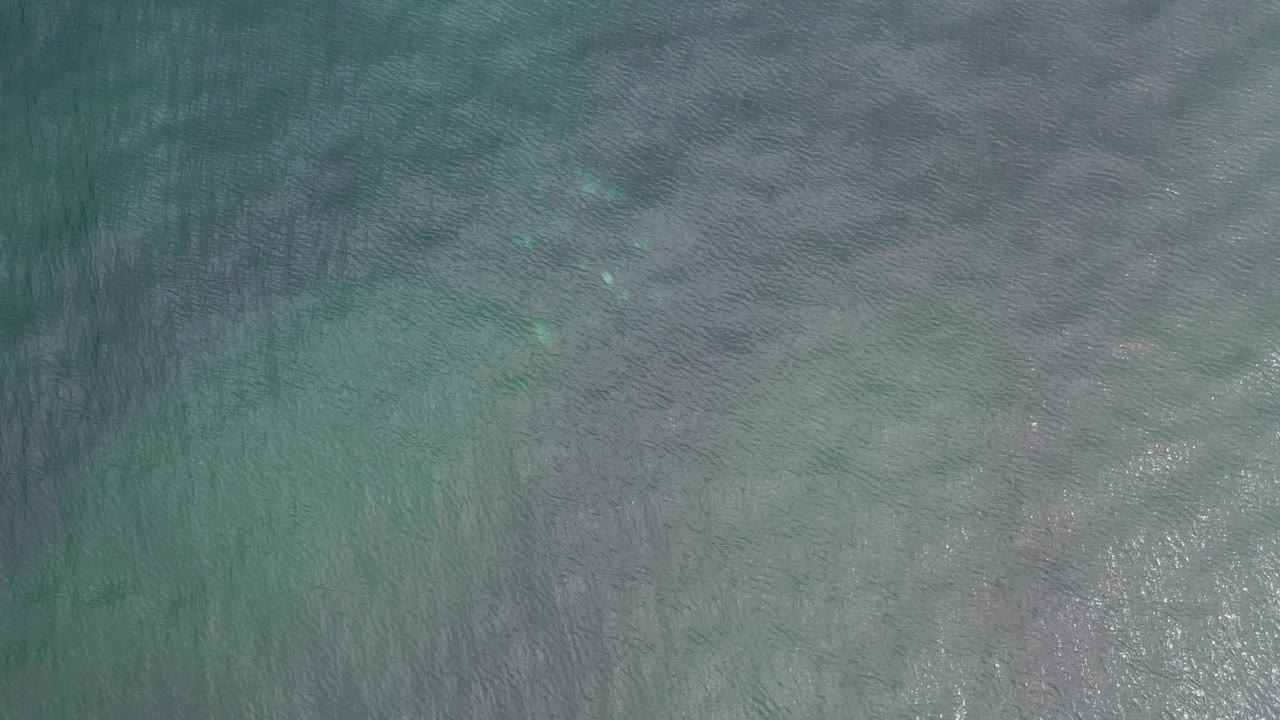 Clear shallow ocean water with gray-blue ripples and submerged shapes.