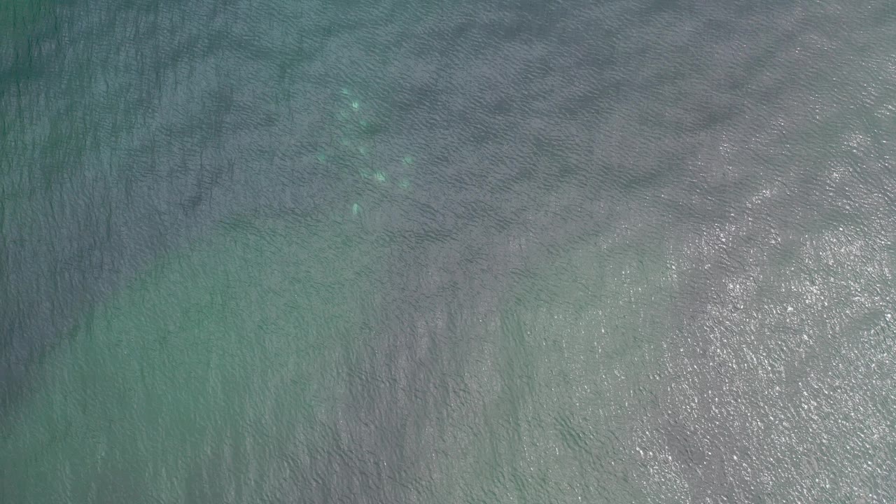 Overhead frame of green and gray-blue seawater in Los Cabos, Mexico, with faint underwater patches and no visible people.
