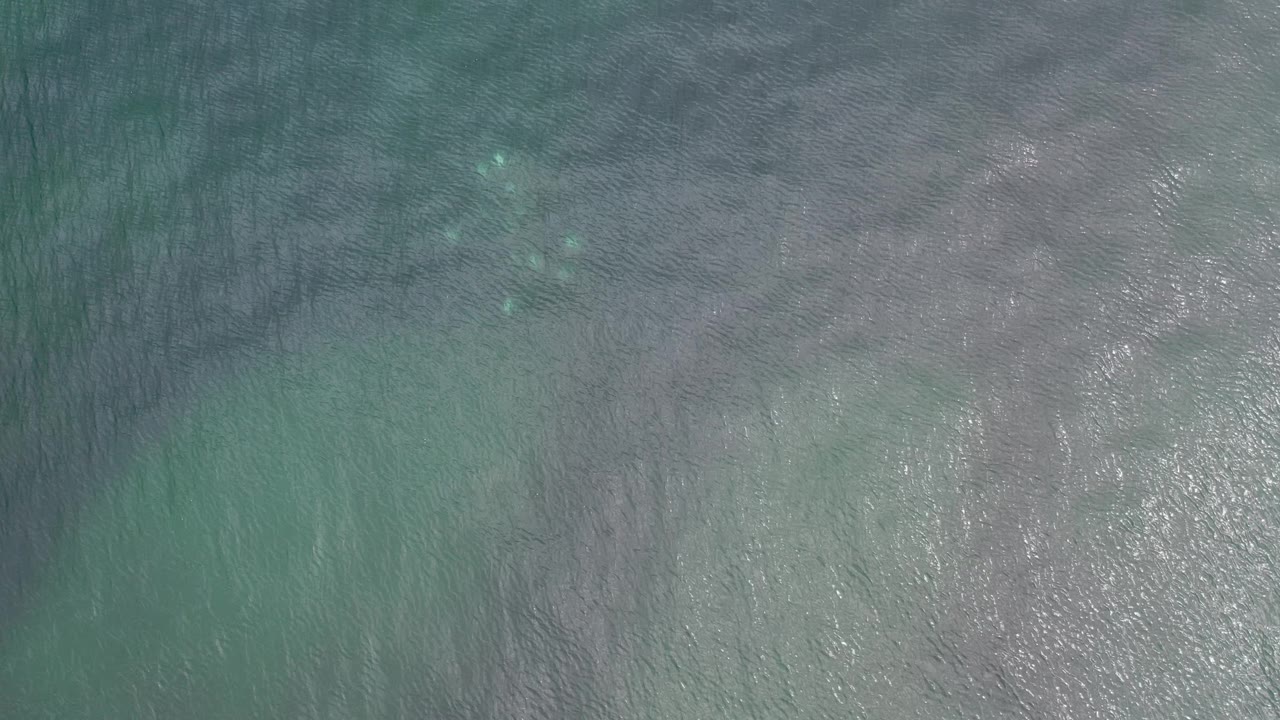 Aerial view of green-gray sea with a bright patch of reflected sunlight.