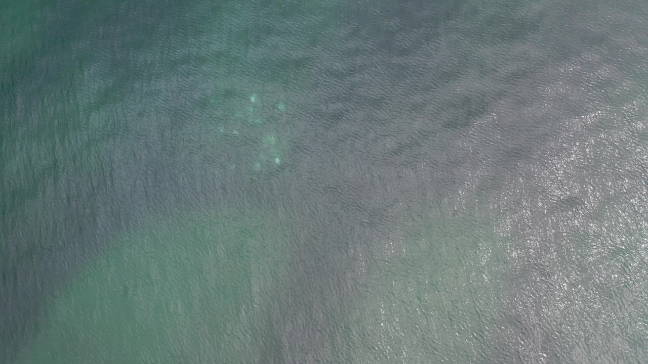 Overhead view of teal-gray ocean water in Los Cabos, Mexico, with faint ripple bands, pale underwater color, small surface sparkles, and no visible people.