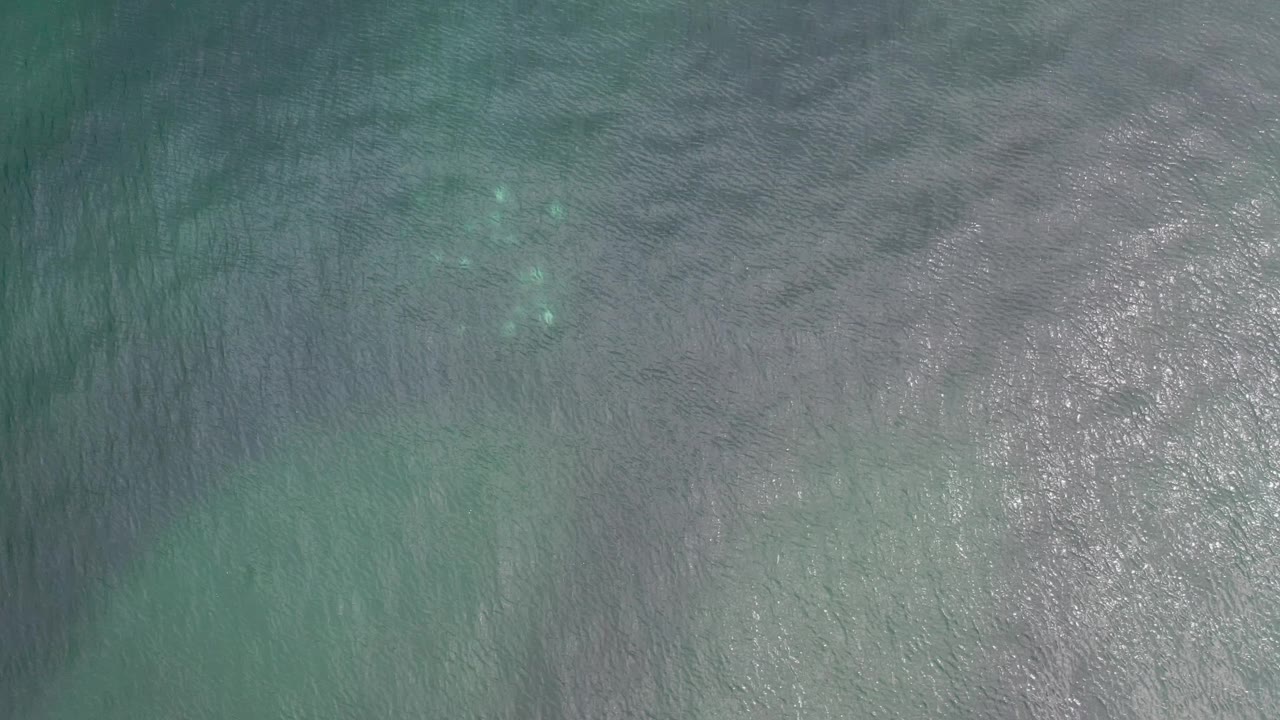 Los Cabos ocean water fills the frame with gray-green ripples, a brighter reflective patch to the right, darker wave bands, and no visible people.