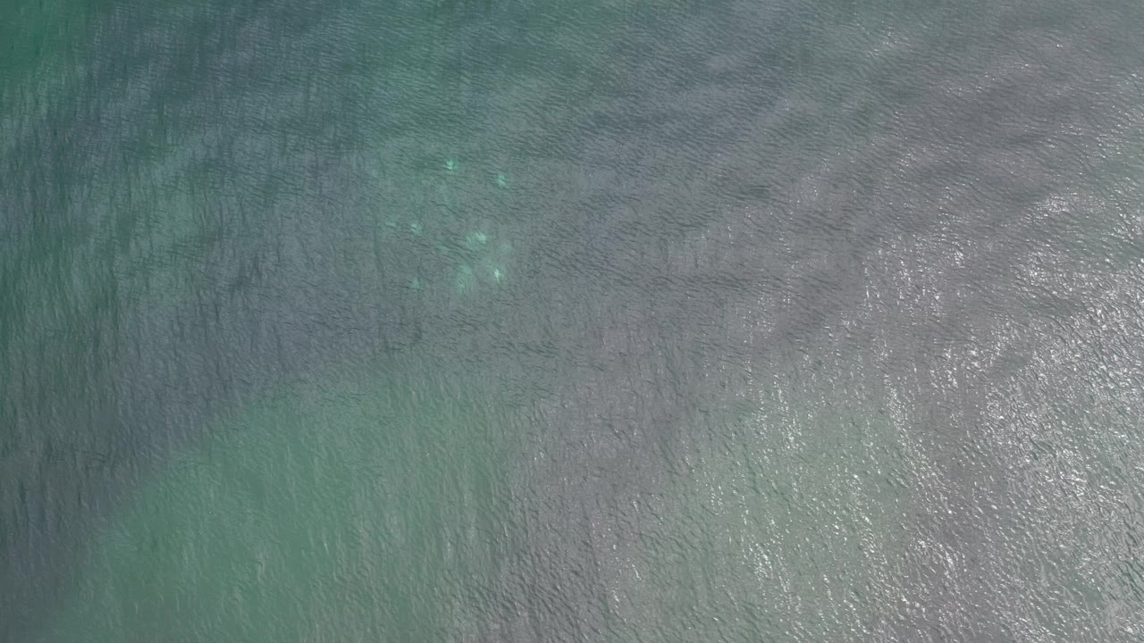 Gray-green water surface with faint turquoise patches.