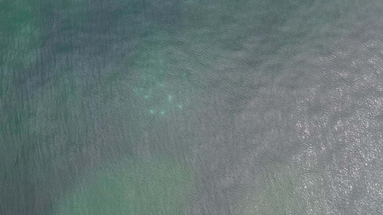 Overhead view of green-blue water in Los Cabos, Mexico, with fine ripples, scattered bright reflections, and no visible people.