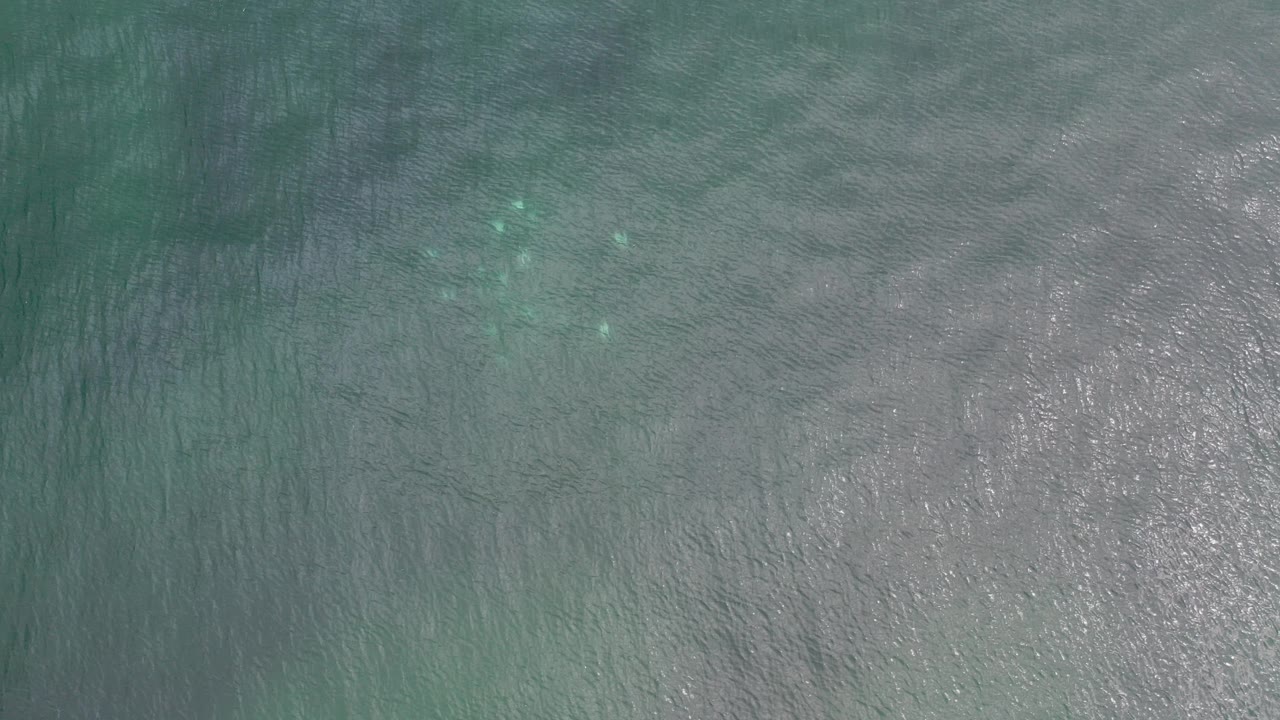 Opening overhead view of clear blue green water in Los Cabos, Mexico, with faint ripples, pale bottom texture, scattered highlights, and no visible people.