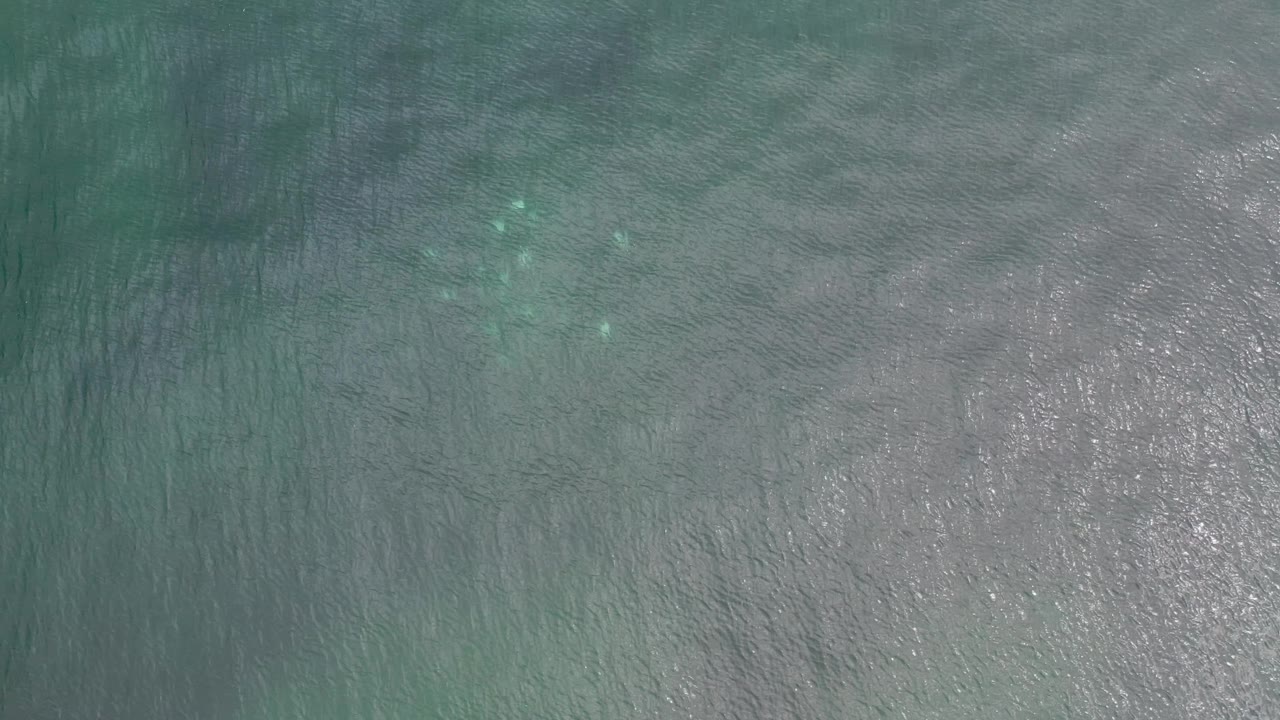 Clear shallow water in Los Cabos, Mexico, fills the frame with darker ripple bands, small bright reflections, and no visible people.