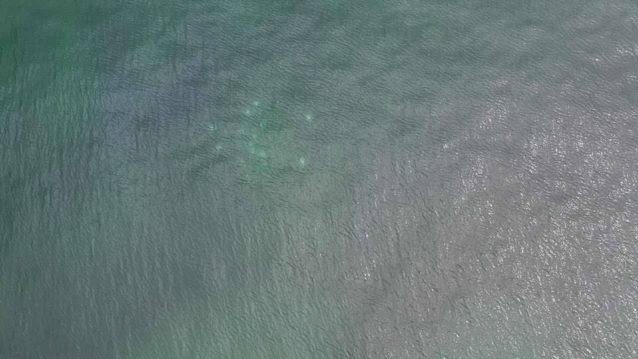 Top-down turquoise water with a few brighter patches under the surface.