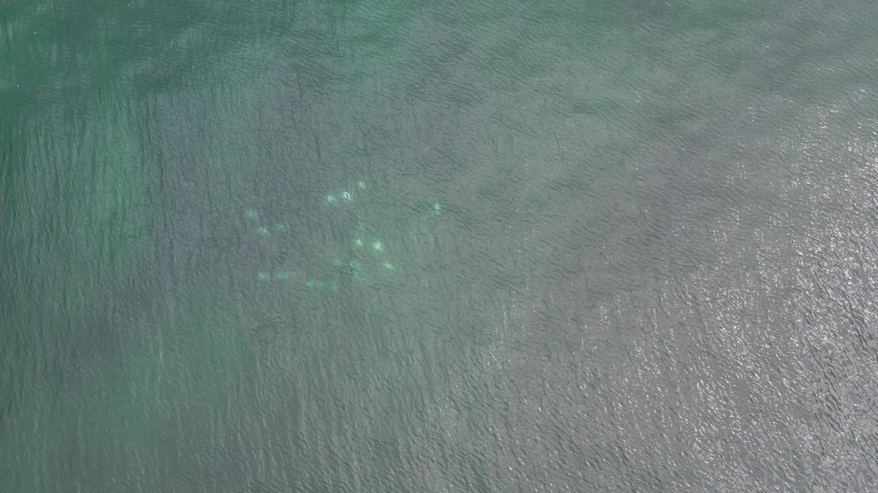 Overhead view of green-blue ocean near Los Cabos, Mexico, with a small pale shoal visible near the upper left and no visible people.