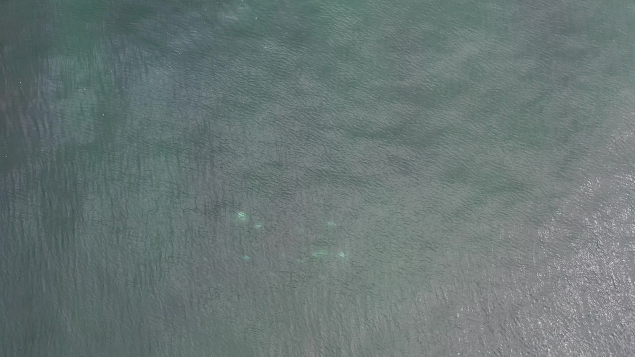 Sunlit shallow water with small fish near the upper right