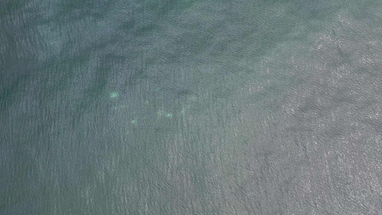Overhead blue-green seawater with small pale fish near the upper left