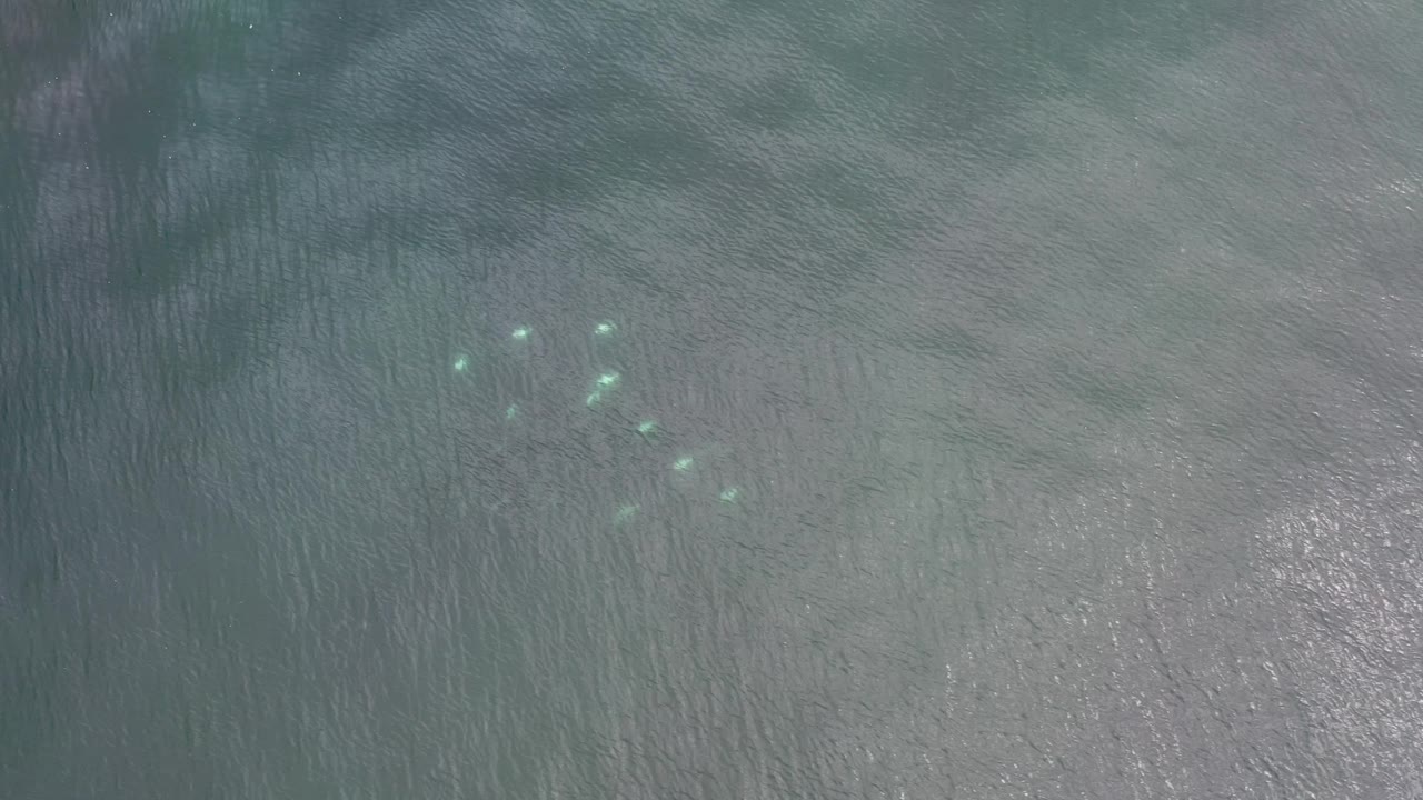 Fish dots under rippling ocean with bright reflections