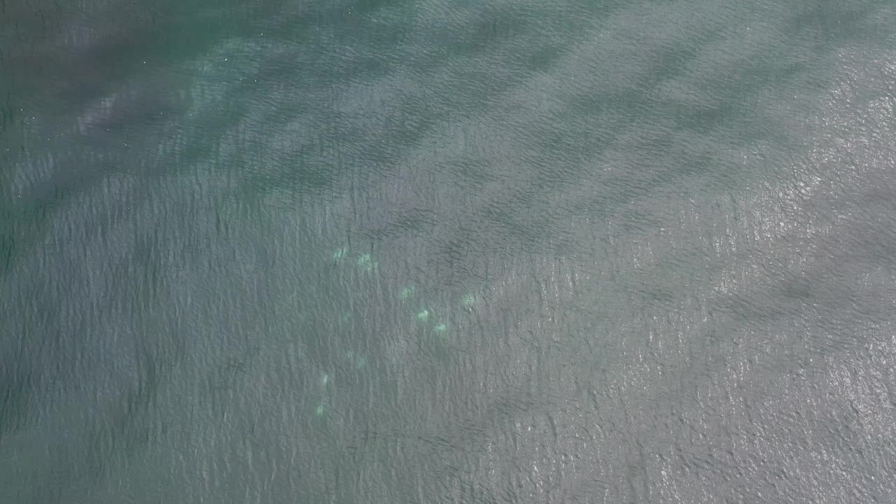 Aerial view in Los Cabos, Mexico with teal water filling the frame, a loose group of pale white objects left of center, scattered highlights, and no visible people.