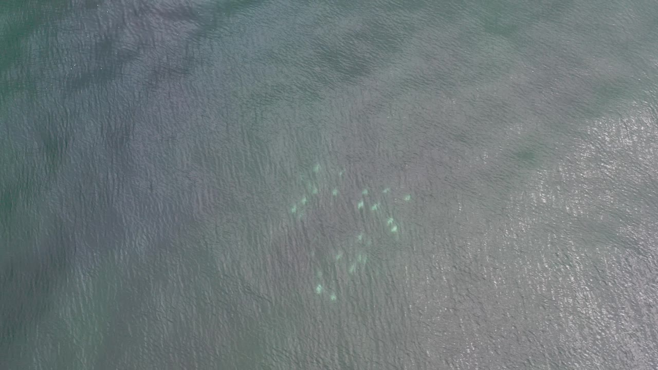 Overhead teal gray water with ripples and pale turquoise shapes beneath the surface.