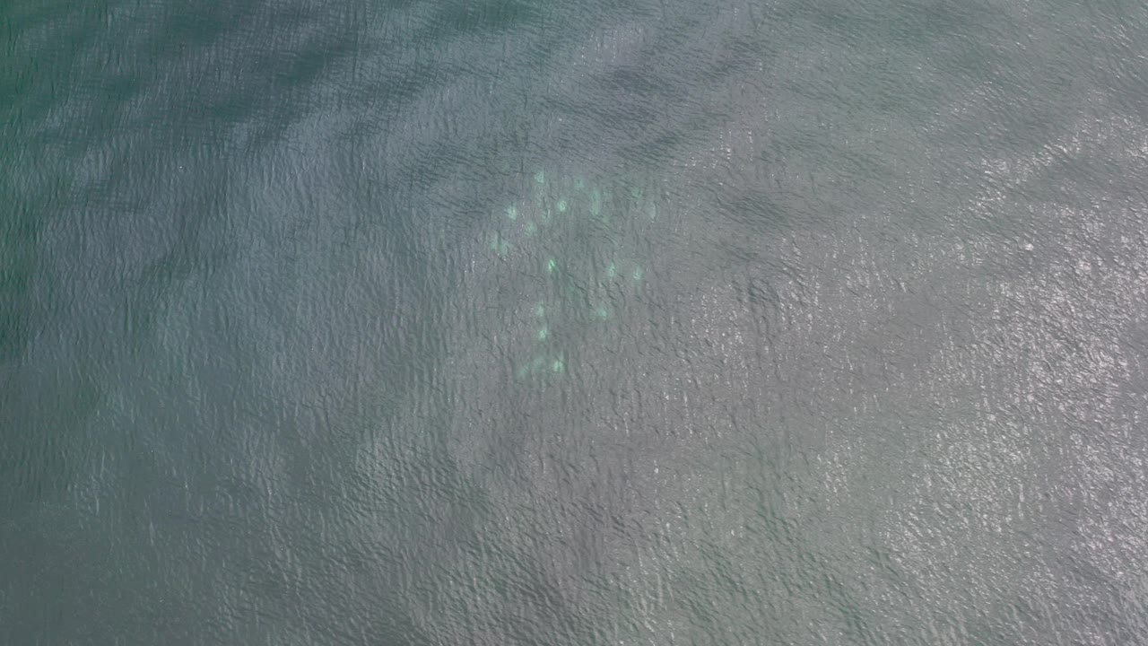 Overhead view of gray-green ocean water in Los Cabos, Mexico, with faint turquoise patches under the rippled surface and no visible people.