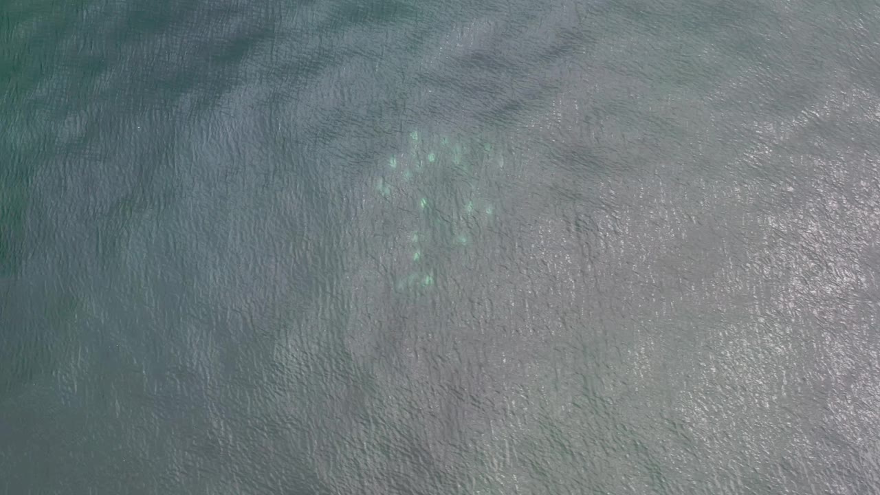 Muted green ocean surface in Los Cabos, Mexico, with a cluster of pale underwater color near the upper left and no visible people.