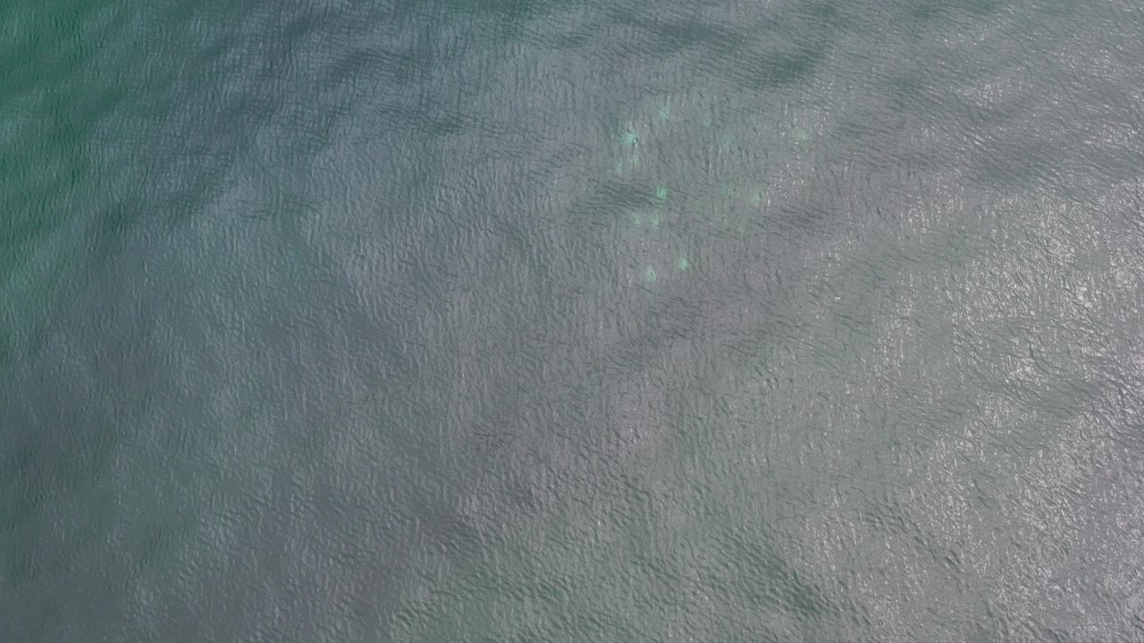 Overhead view of blue-green and gray rippled sea water in Los Cabos, Mexico, with pale shallow patches and no visible people.