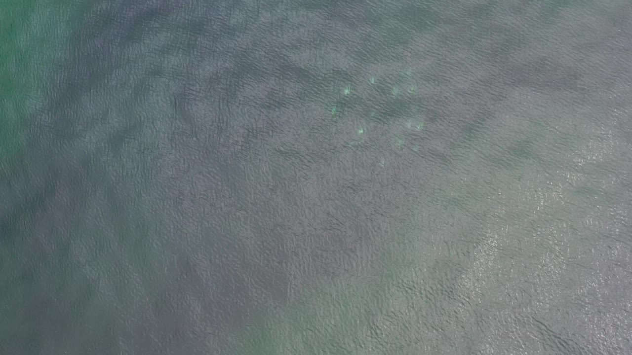 Shallow Los Cabos water seen from above, with pale gray underwater patches, turquoise areas, small highlights, and no visible people.